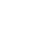 logo_idep_white_transparent.png